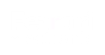 Ferrari_Electronic