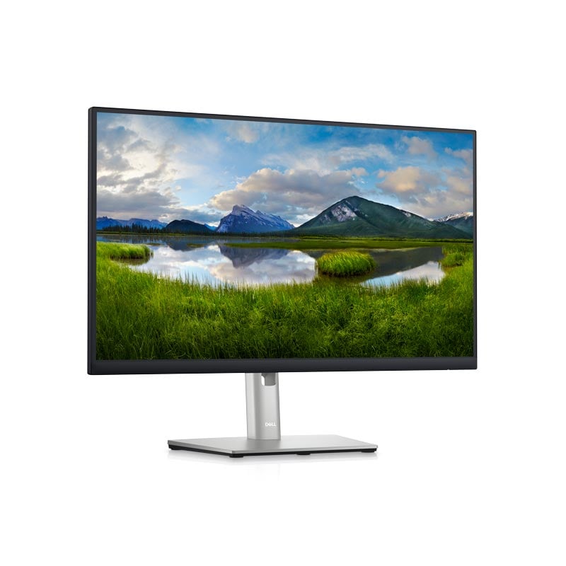 Dell Monitor pSerie